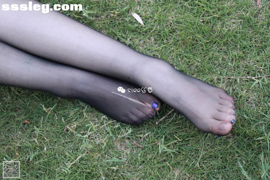 41.jpg