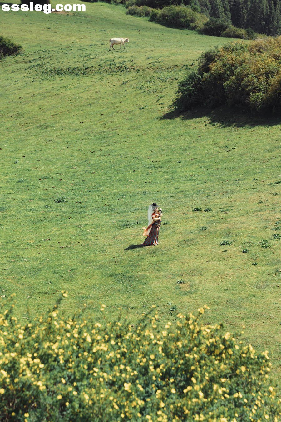 01.jpg