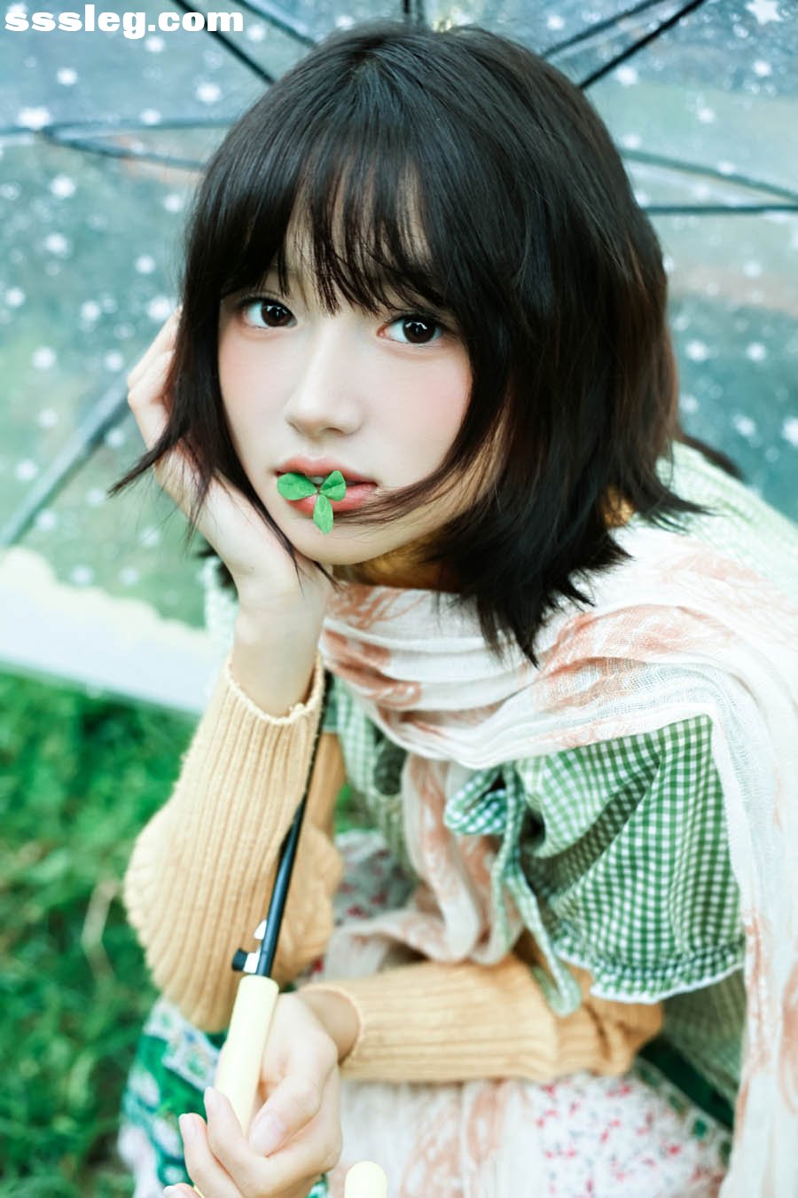 01.jpg