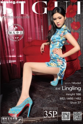 [Ligui丽柜]2014.02.13 网络丽人 Model 凌凌